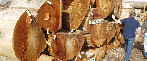 western red cedar | products | cowichan lumber