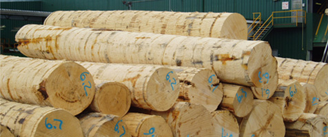 yellow cedar | products | cowichan lumber